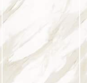 New Fish Belly White SS918B747