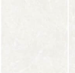 Magnolia Classic Version NSS918B064